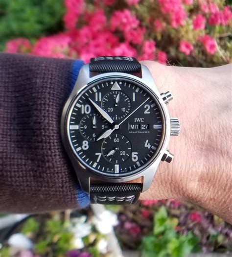 iwc pilot chronograph review